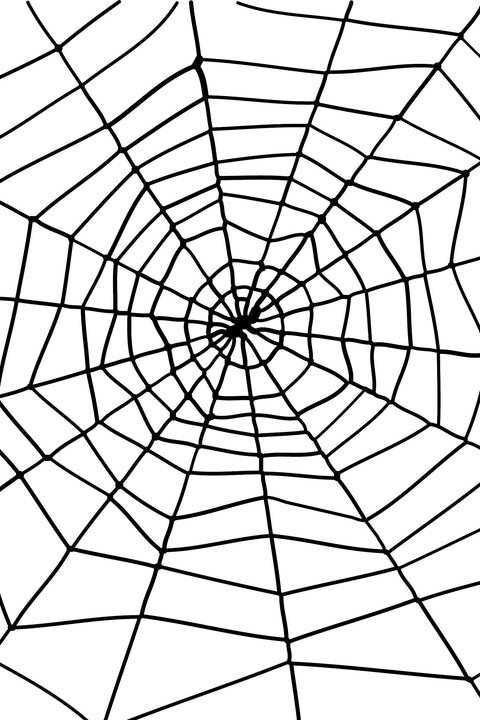 Hämähäkinverkko koriste musta
