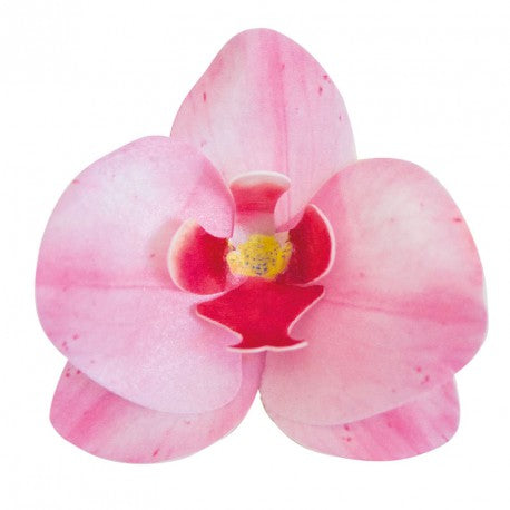 Syötävä koriste, pinkki orkidea 10 kpl