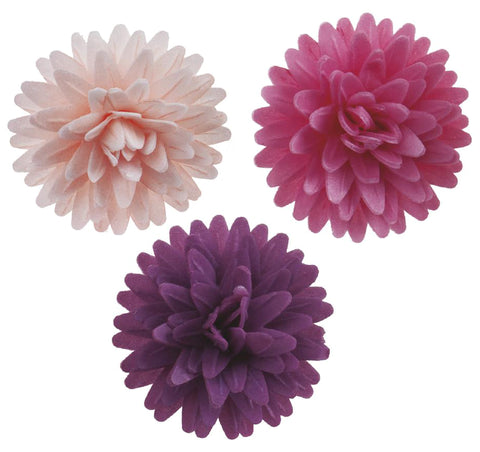 Syötävä koriste, Dahlia 12 kpl