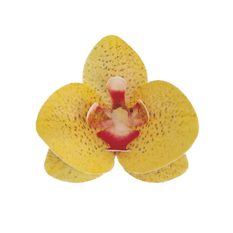 Syötävä koriste, keltainen orkidea 10 kpl