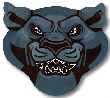 Team Panthers muotofoliopallo