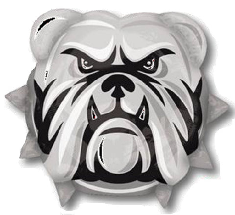 Team Bulldogs muotofoliopallo