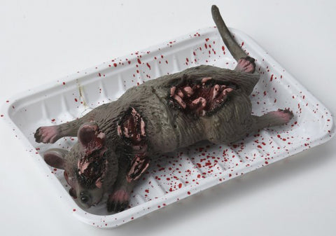 Halloween koriste rotta