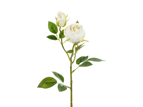 Ruusu kahdella nupulla 55 cm, kermanvärinen