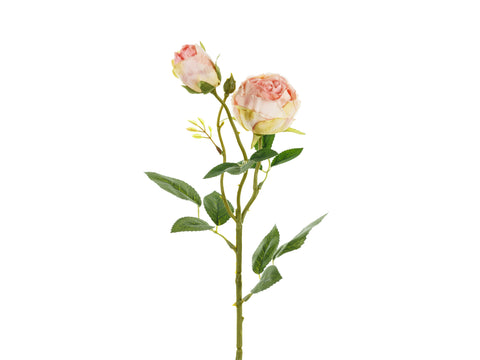 Ruusu kahdella nupulla 55 cm, vaaleanpunainen