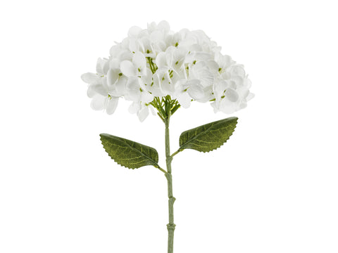Hortensia 35 cm, valkoinen