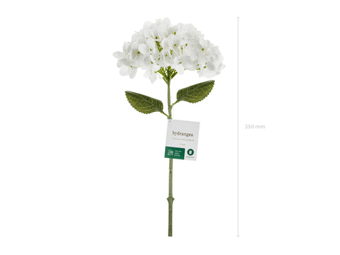Hortensia 35 cm, valkoinen