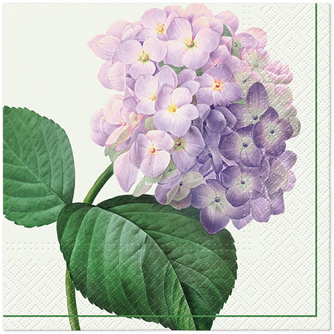 Lautasliina 33 x 33 cm hortensia 20 kpl/pkt