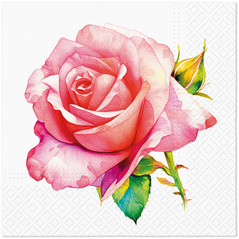 Lautasliina 33 x 33 cm ruusu 20 kpl/pkt