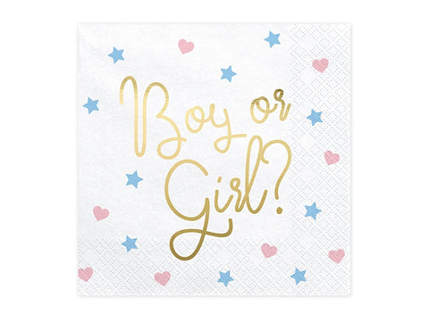 Boy or Girl suuri lautasliina 20 kpl/pkt