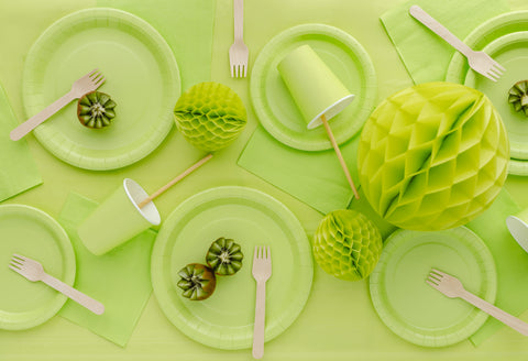 Pahvilautanen vaaleanvihreä, 23 cm 6 kpl/pkt